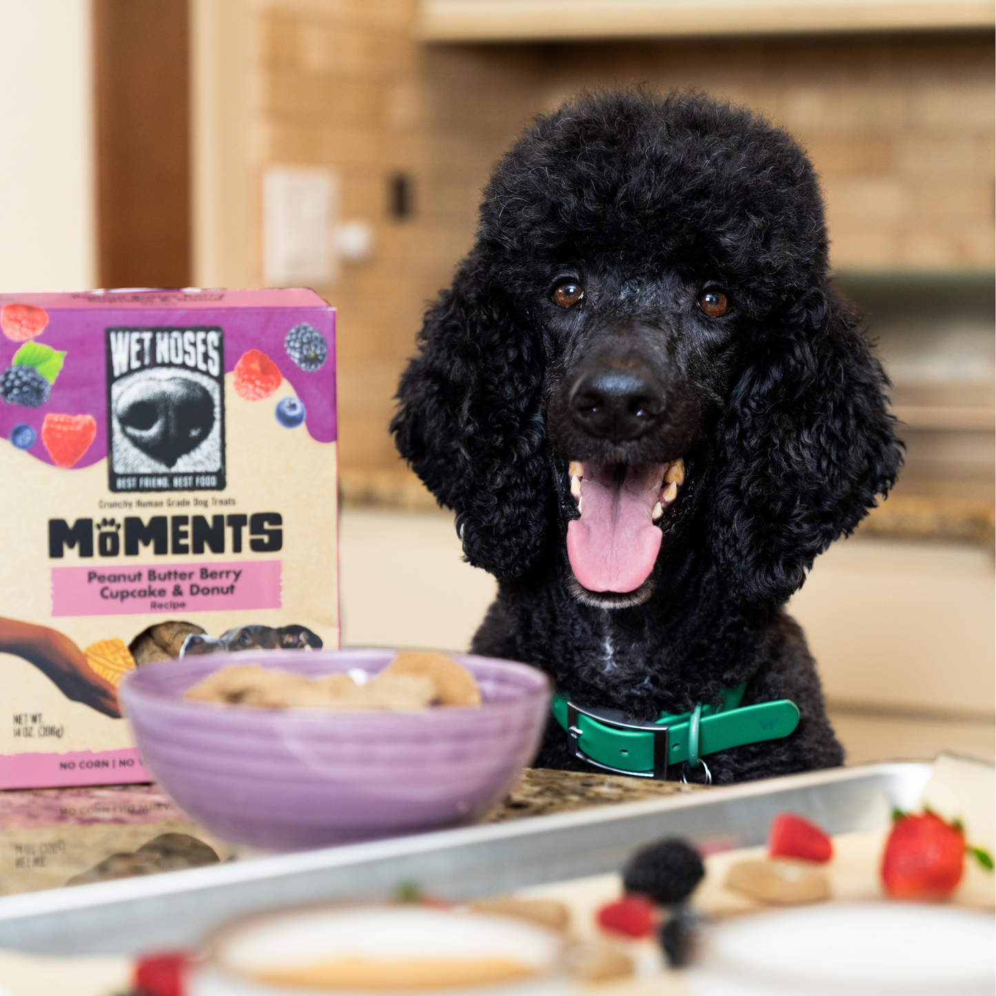 Moments Peanut Butter Berry Cupcake & Donut 14oz - Case of 6