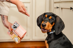Wet Noses Training Treats 9oz