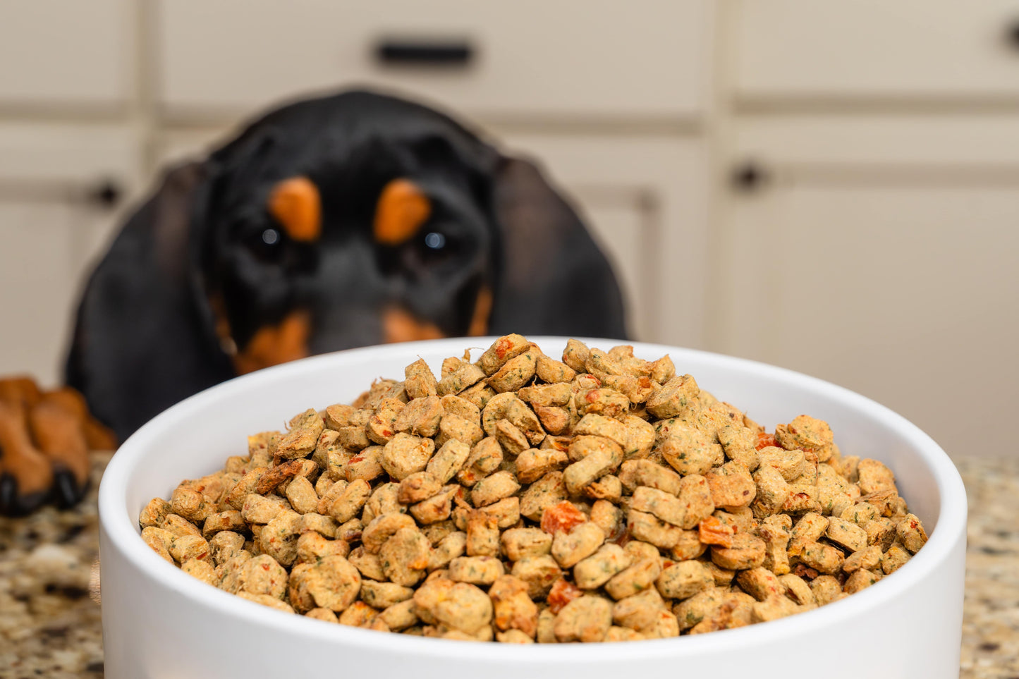 Oven Baked Food for Dogs - Chicken - Cases of 4