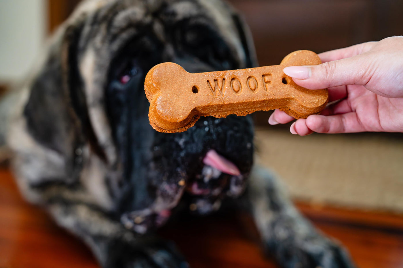 Peanut Butter & Molasses Grain Free Big Bone 2oz - 24 Pack