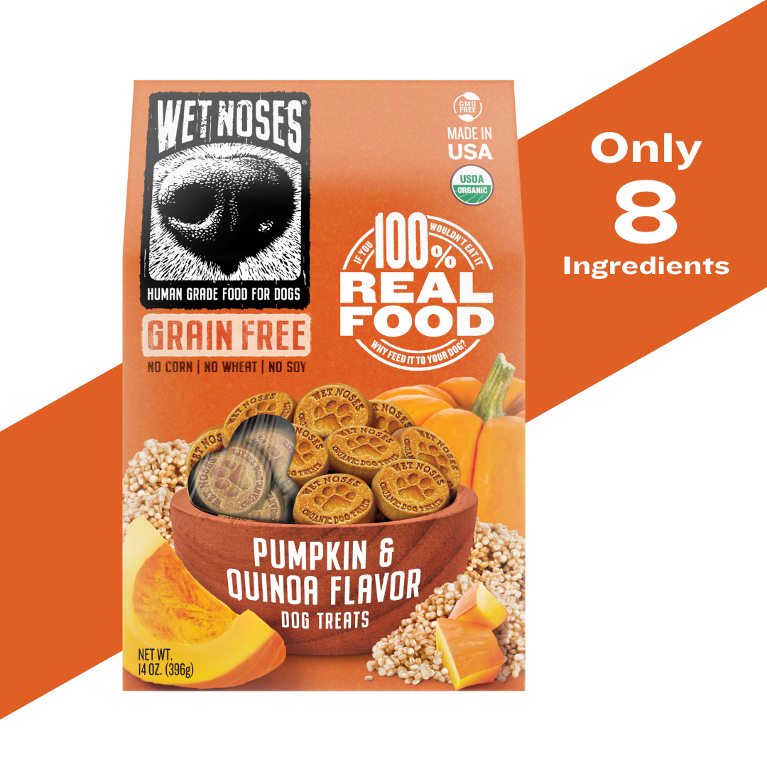 Pumpkin & Quinoa Grain Free Original Treats 14oz - Case of 6