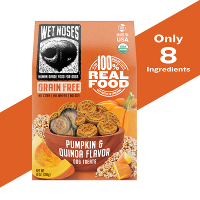 Pumpkin & Quinoa Grain Free Original Treats 14oz - Case of 6