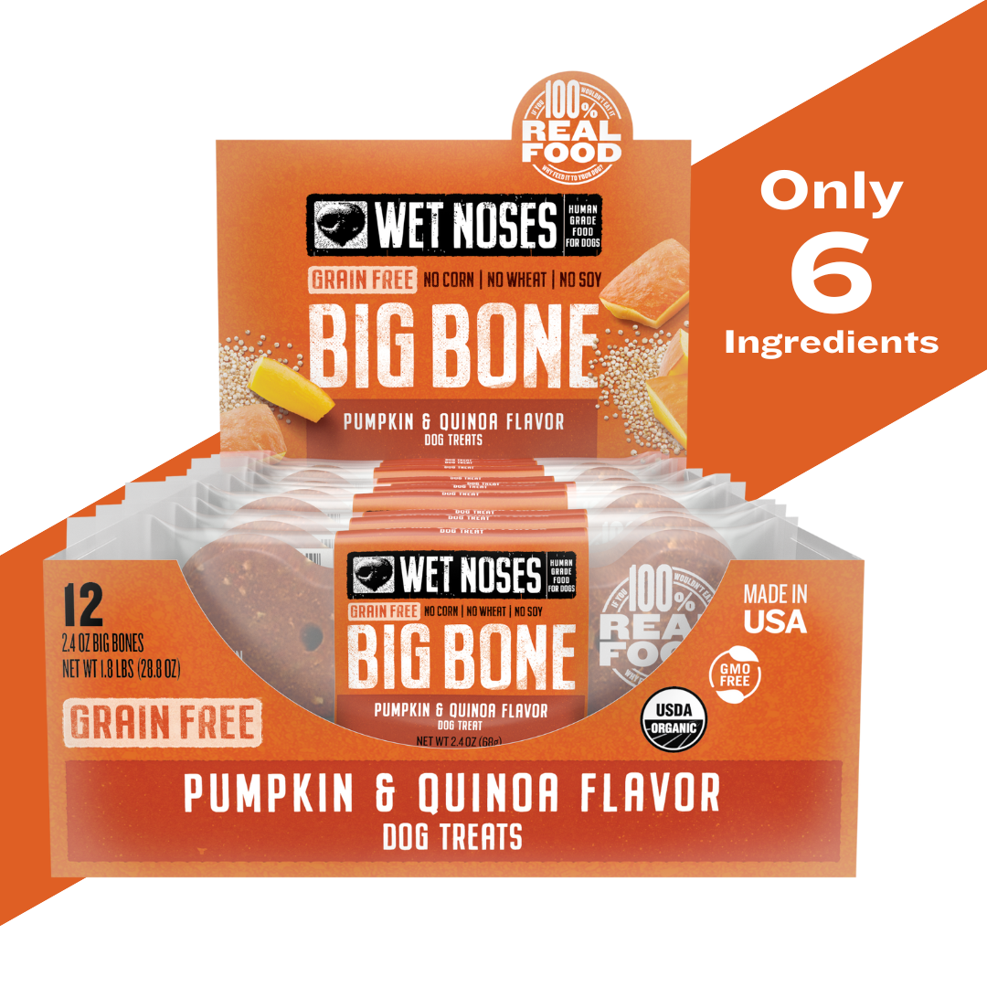 Pumpkin & Quinoa Grain Free Big Bone 2oz - 24 Pack