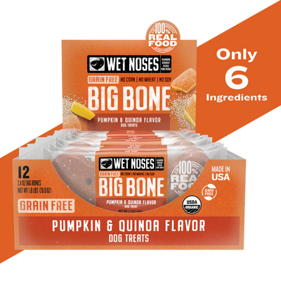 Pumpkin & Quinoa Grain Free Big Bone 2oz - 24 Pack