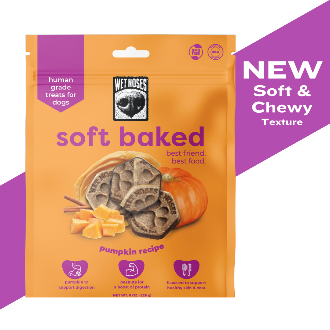 Pumpkin Soft Baked Treats 8oz - Case of 12