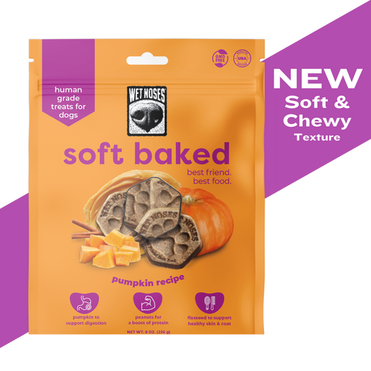 Pumpkin Soft Baked Treats 8oz - Case of 12
